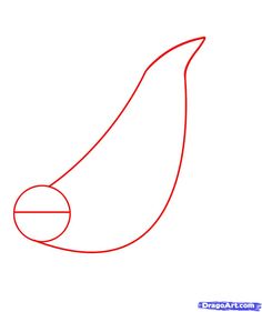 236x281 Best Seal Images Animal Drawings, Sketches Of Animals, Drawings