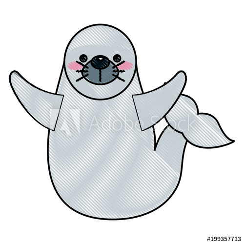 500x500 Cute Seal Cartoon Sea Life Marine Vector Illustration Drawing