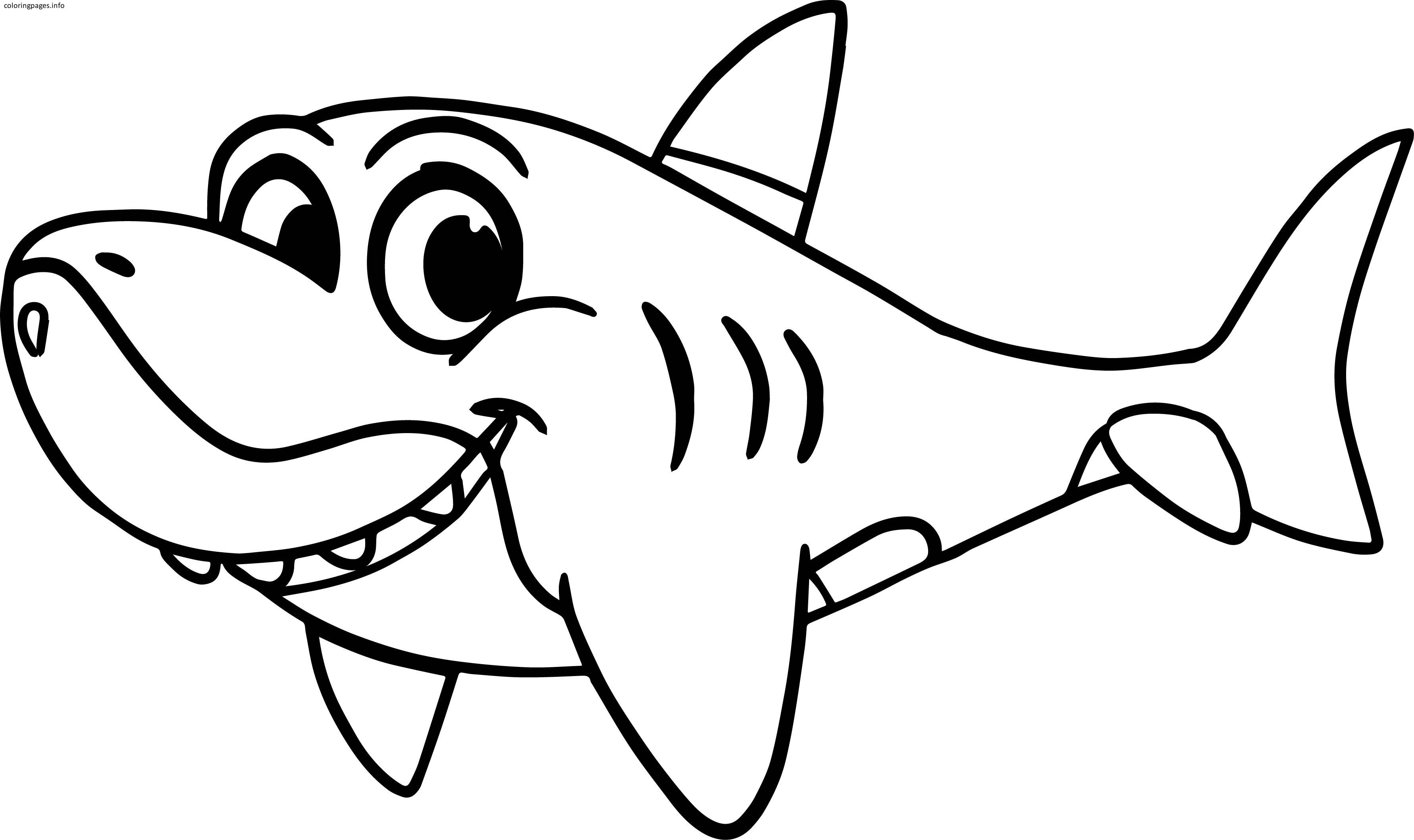 Cute Shark Drawing