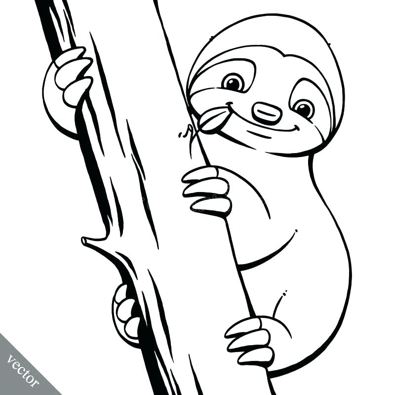 Collection of Sloth clipart | Free download best Sloth clipart on ...