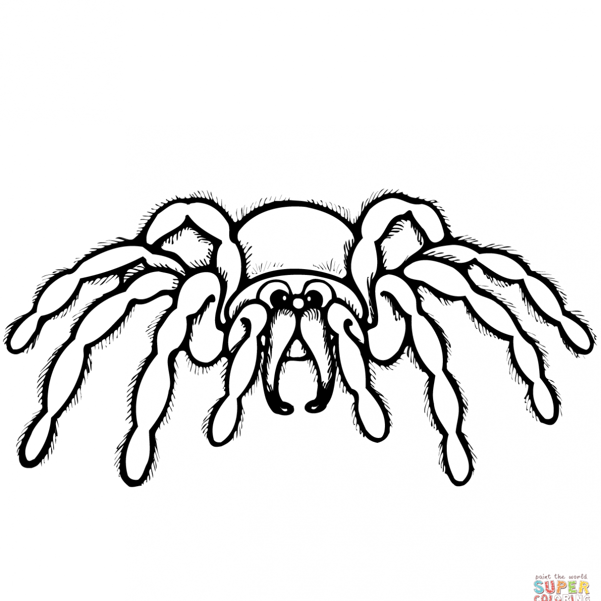 1224x1224 Spider Coloring Pages Spiders Awesome