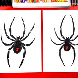 250x250 Black Widow Chibi Drawing A Spider Cute Step Realistic Easy