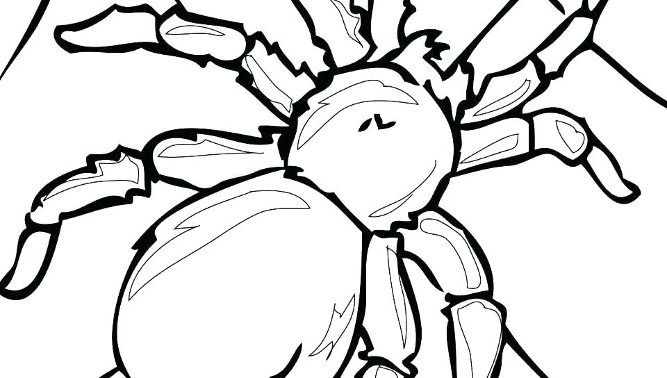960x544 Collection Cute Spider Coloring
