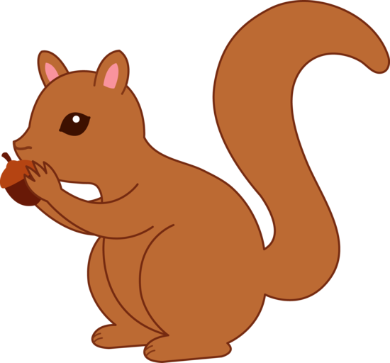 Cute Squirrel Drawing