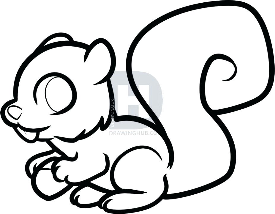 926x720 How To Draw Squirrels Draw A Squirrel Realistic Squirrel Drawing