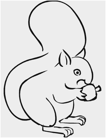 371x480 Squirrel Coloring