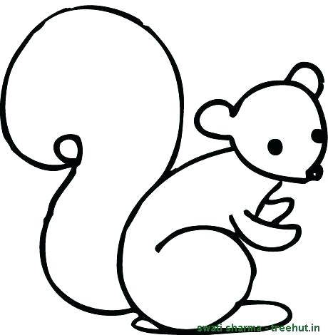 460x470 Squirrel Coloring