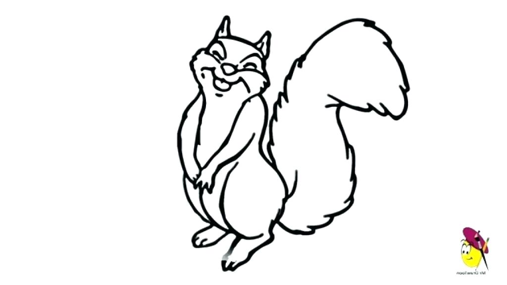 1024x576 A Nice Funny Squirrel Coloring Pages New