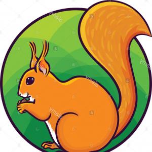 300x300 Cartoon Drawing Of A Squirrel Vector Hoodamathrun
