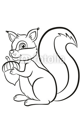 283x400 Coloring Page Little Cute Squirrel Stands And Holds An Acorn
