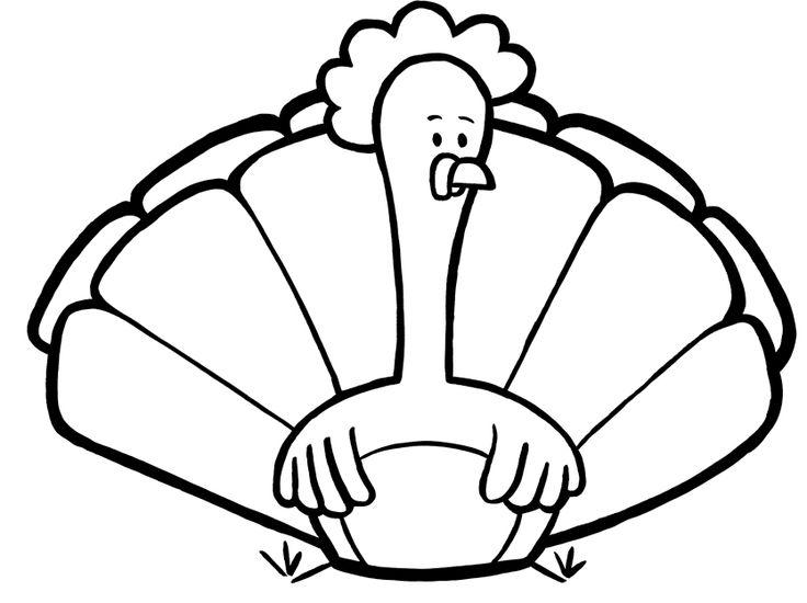 736x550 Cute Turkey Coloring Pages
