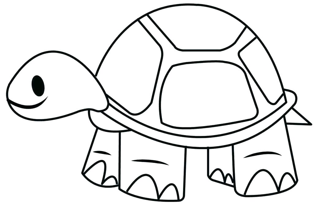 1024x668 easy turtle drawing turtle drawings cute easy turtle drawings info