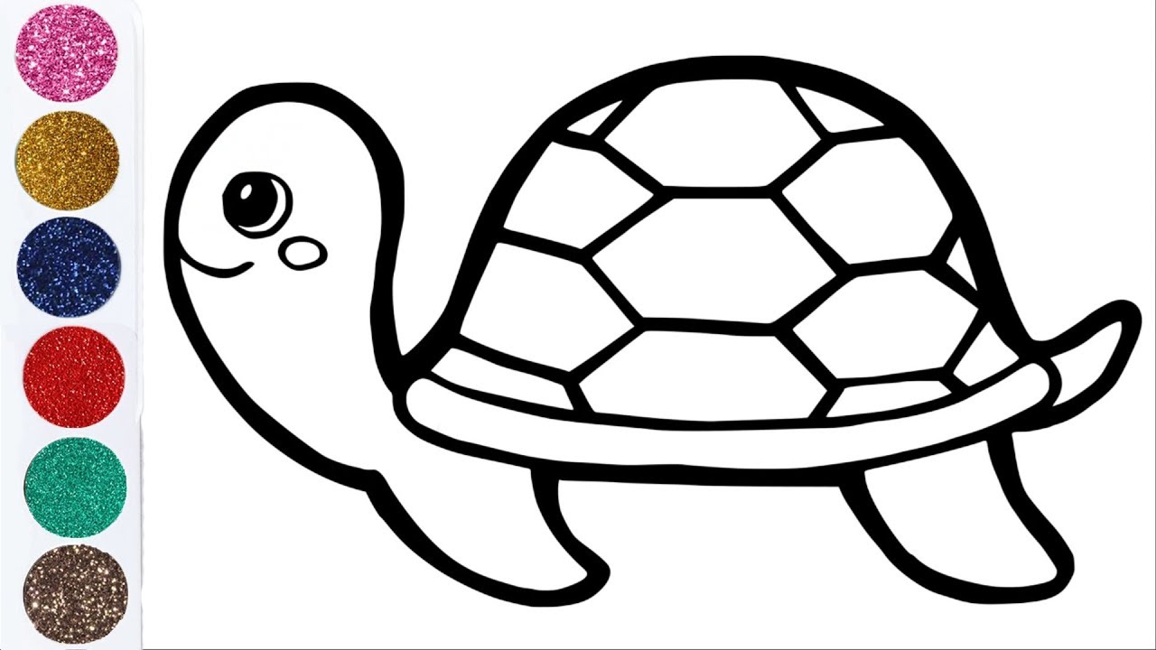 Turtle draw