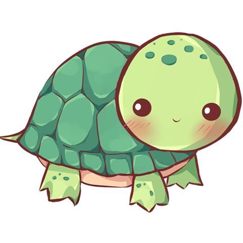 480x480 Huge Collection Of 'chibi Turtle Drawing' Download More Than