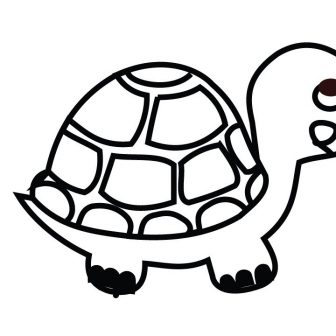 336x336 Turtle Drawing Code Program Cute Baby Step Python Easy I Fertility