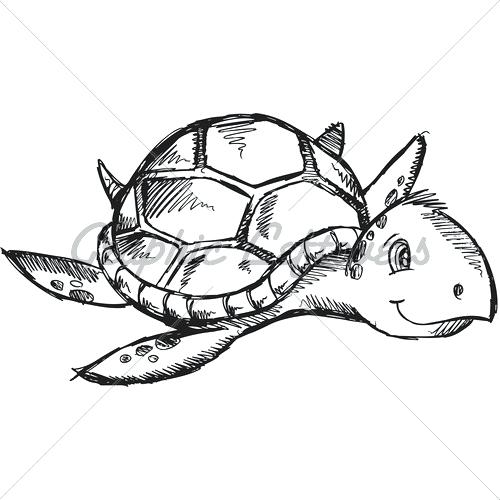 500x500 How To Draw A Cartoon Sea Turtle