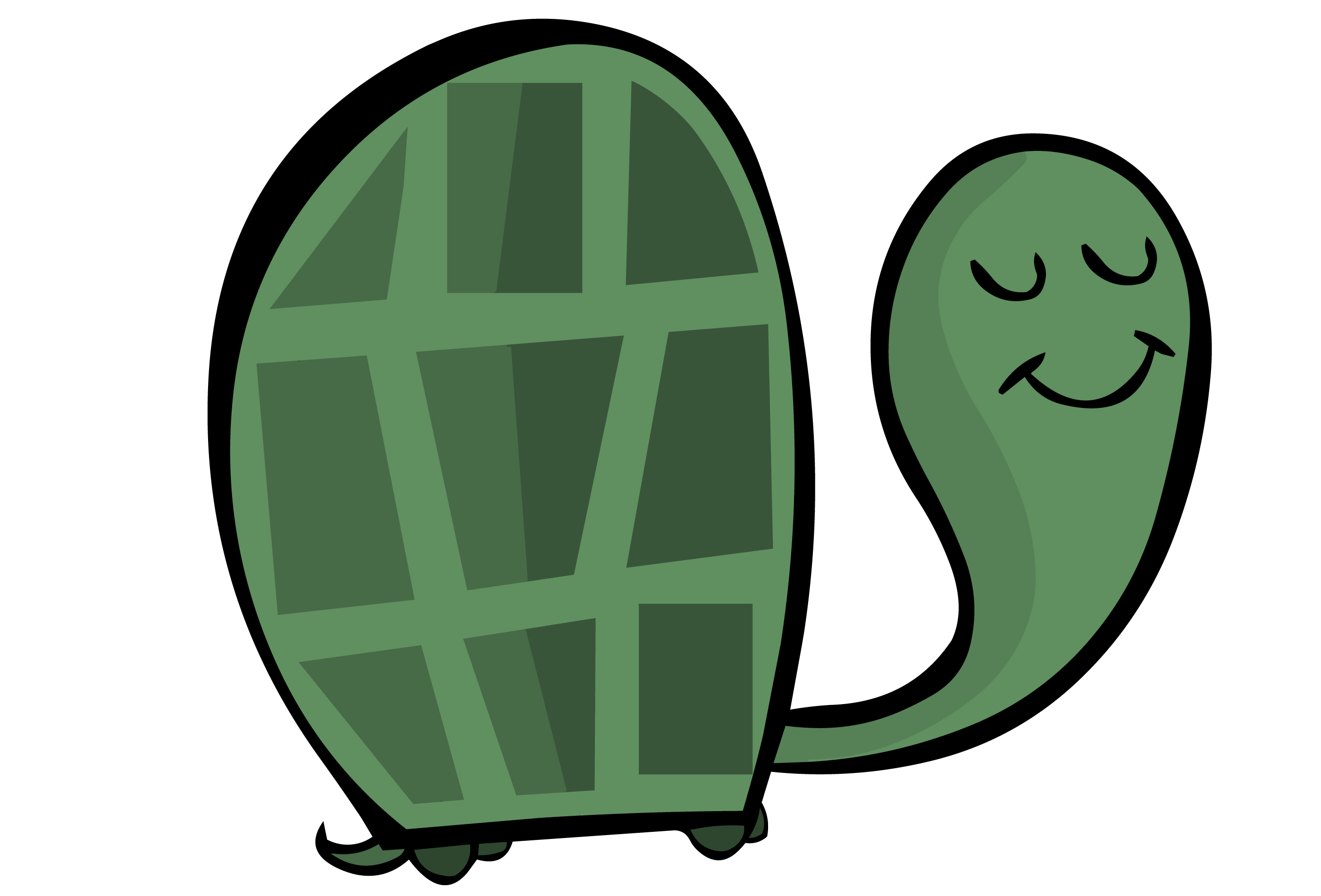 2800x1900 Turtle Cutecartoonportraits