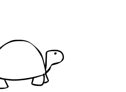 500x364 World Turtle Day Tumblr