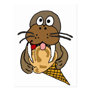 307x307 Cute Walrus Postcards Zazzle Ca