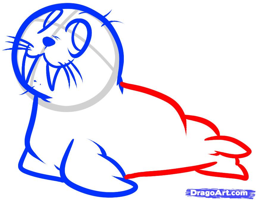 860x671 Draw A Walrus For Kids, Step