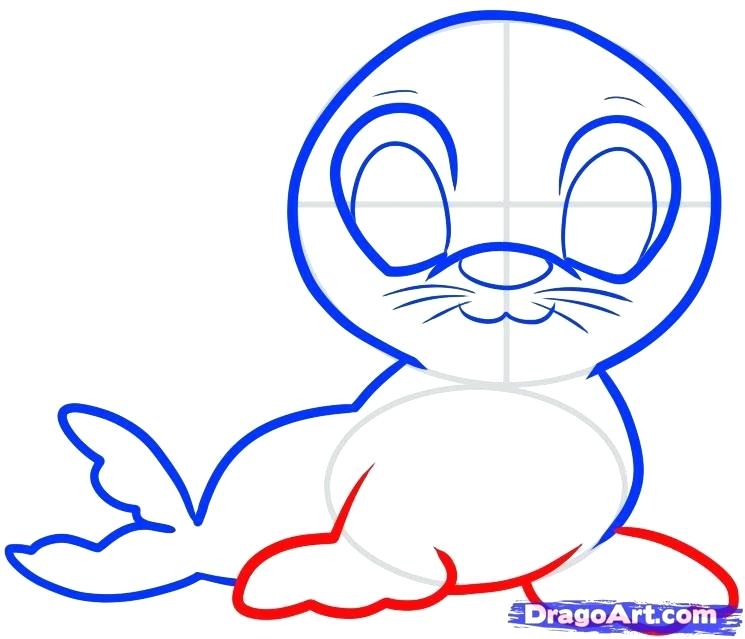 745x639 drawing a seal lets learn how to draw a seal charcoal drawing