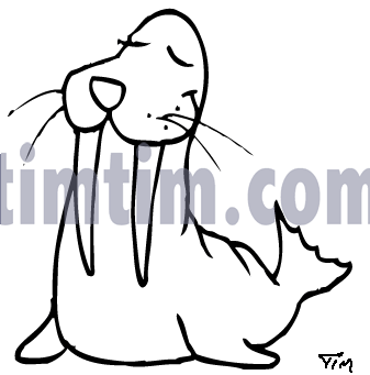337x341 Free Drawing Of Walrus From The Category Wild Animals