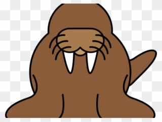 320x240 Walrus Sea Lion Drawing Clip Art