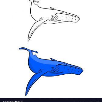 336x336 Blue Whale Drawing Video Line Cute Realistic Download Tattoo