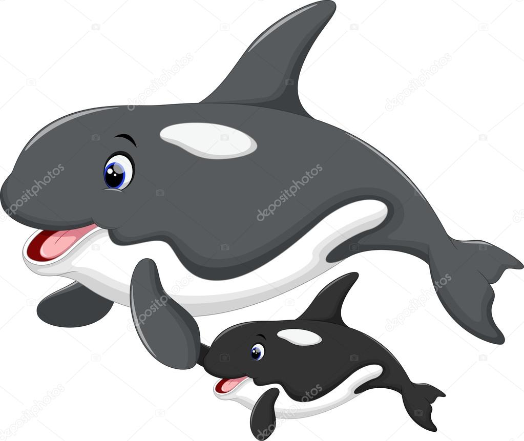 1023x861 cute killer whale drawing cute killer whale cartoon stock vector