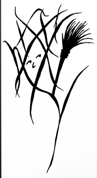 190x348 Dreamsplats A Cute Witch