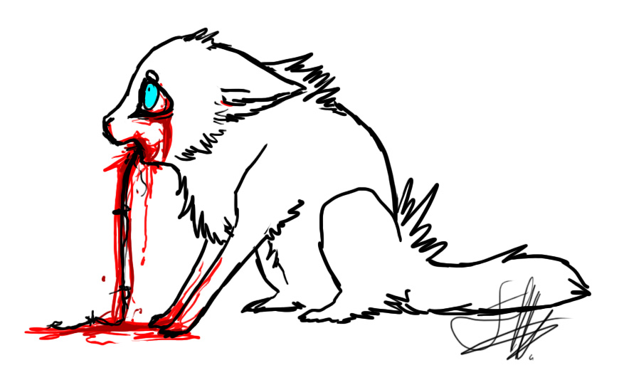 870x541 Cute Wolf Drawings With Wings