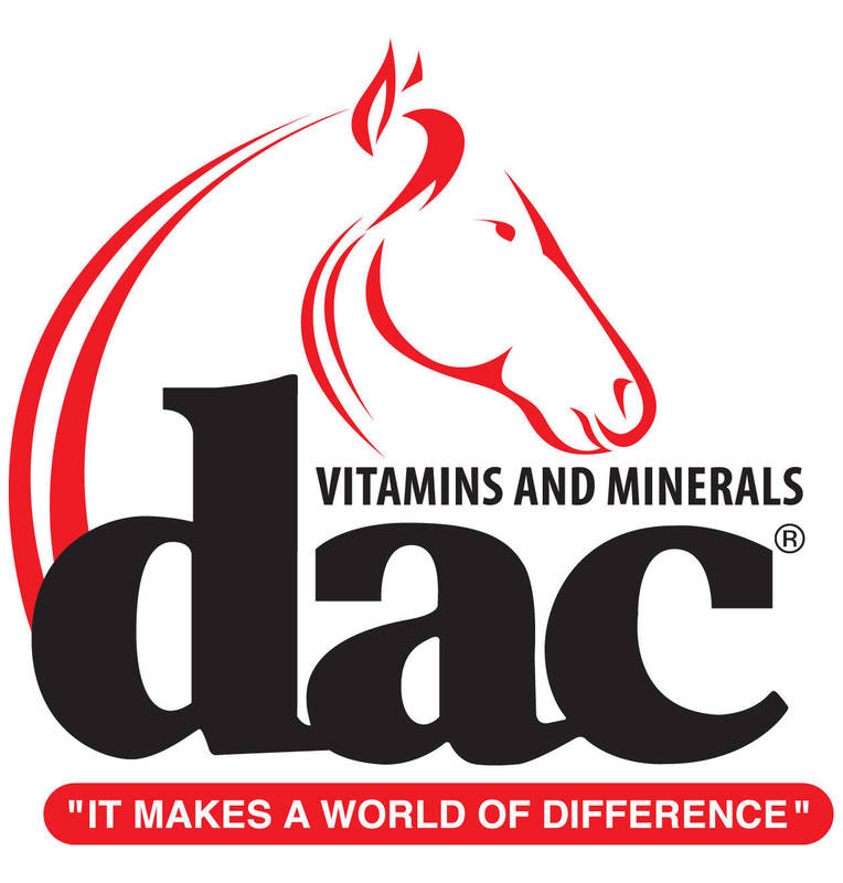 764x800 freestyle reining all american quarter horse congress aqha