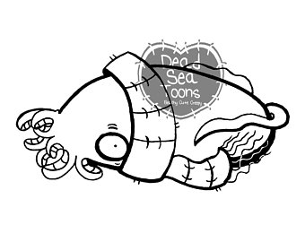 340x270 cuttlefish drawing etsy