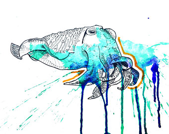 340x270 cuttlefish painting etsy
