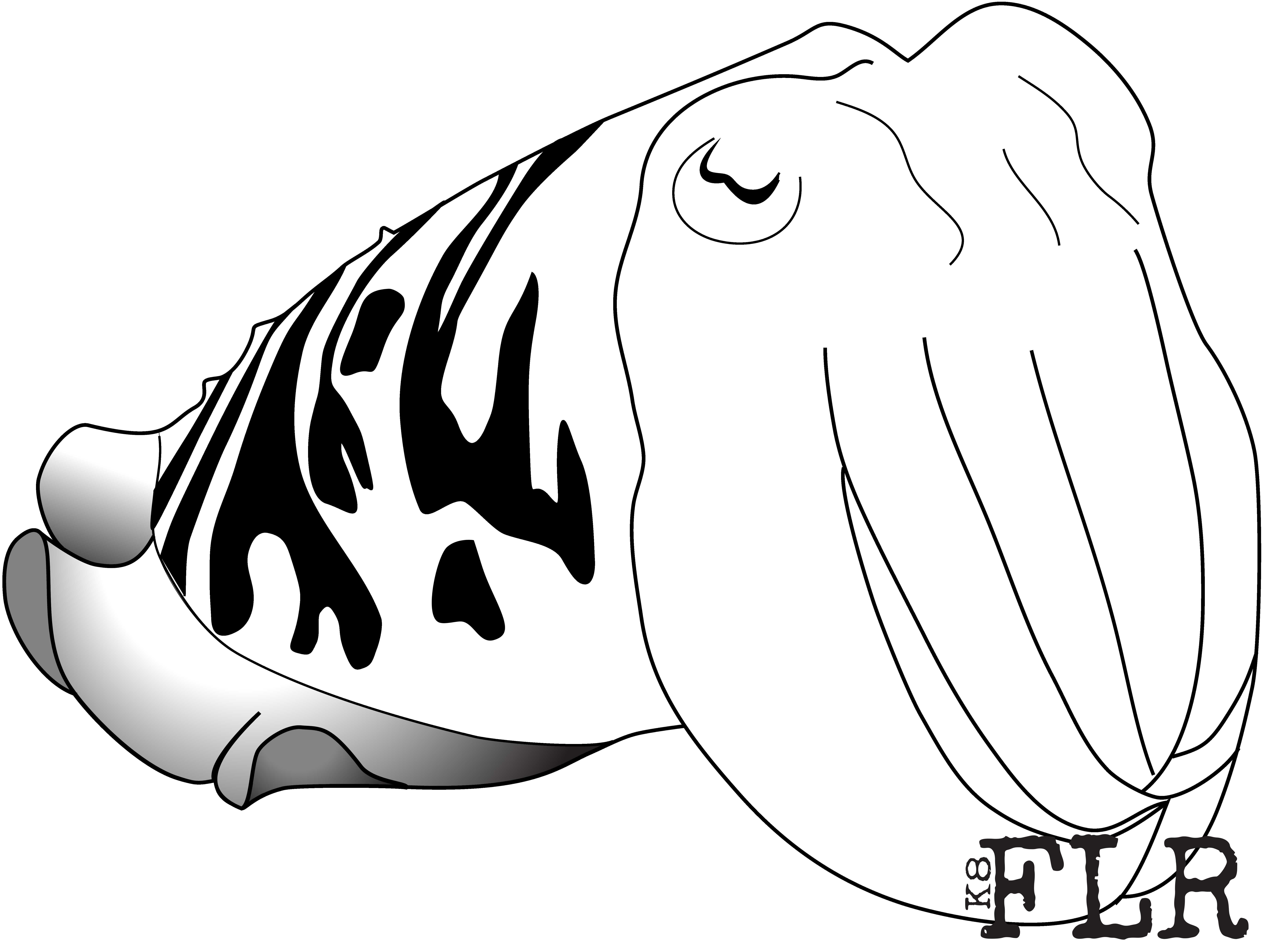 7379x5556 cuttle fish dr kate feller