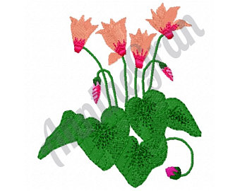 340x270 Cyclamen Flower Etsy