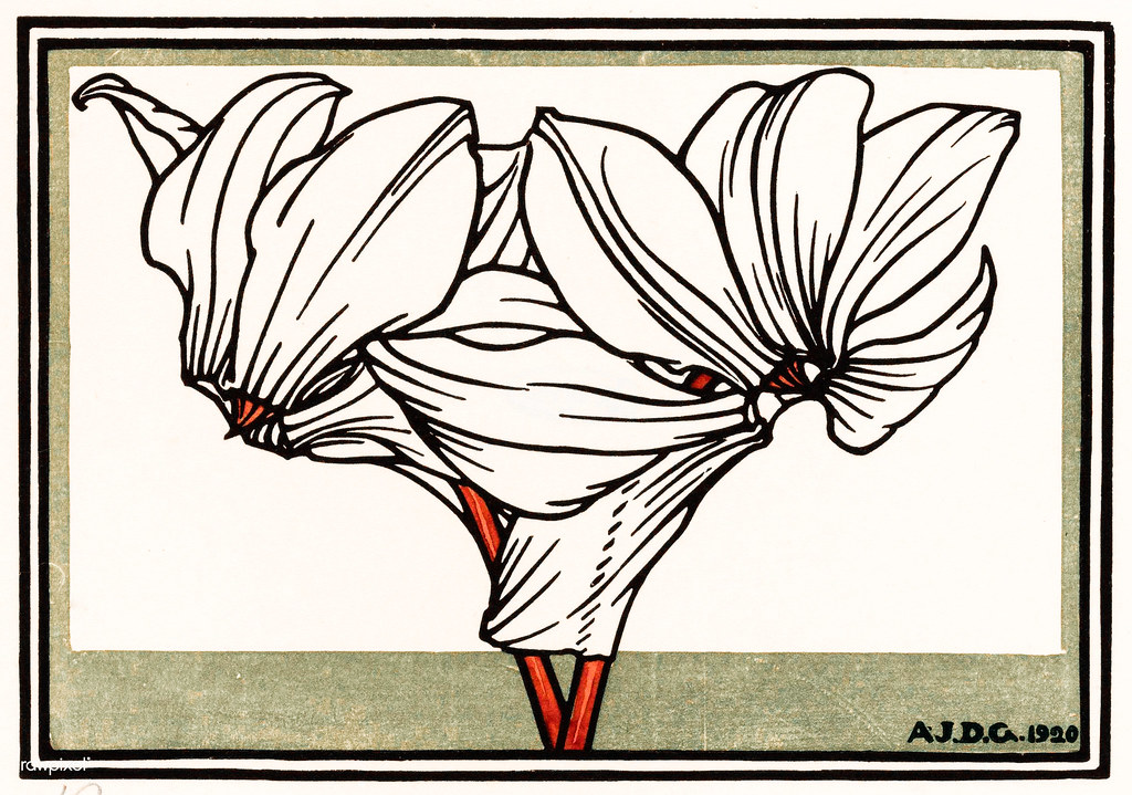 1024x719 The World's Best Photos Of Art And Cyclamen