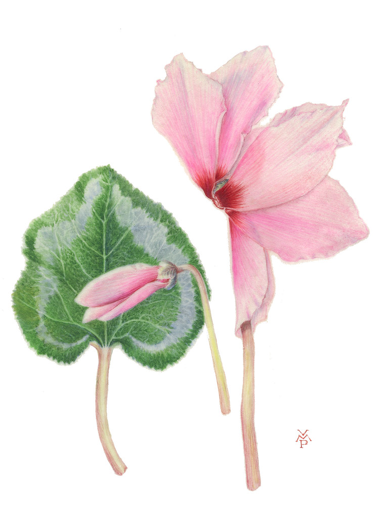 773x1024 the world's most recently posted photos