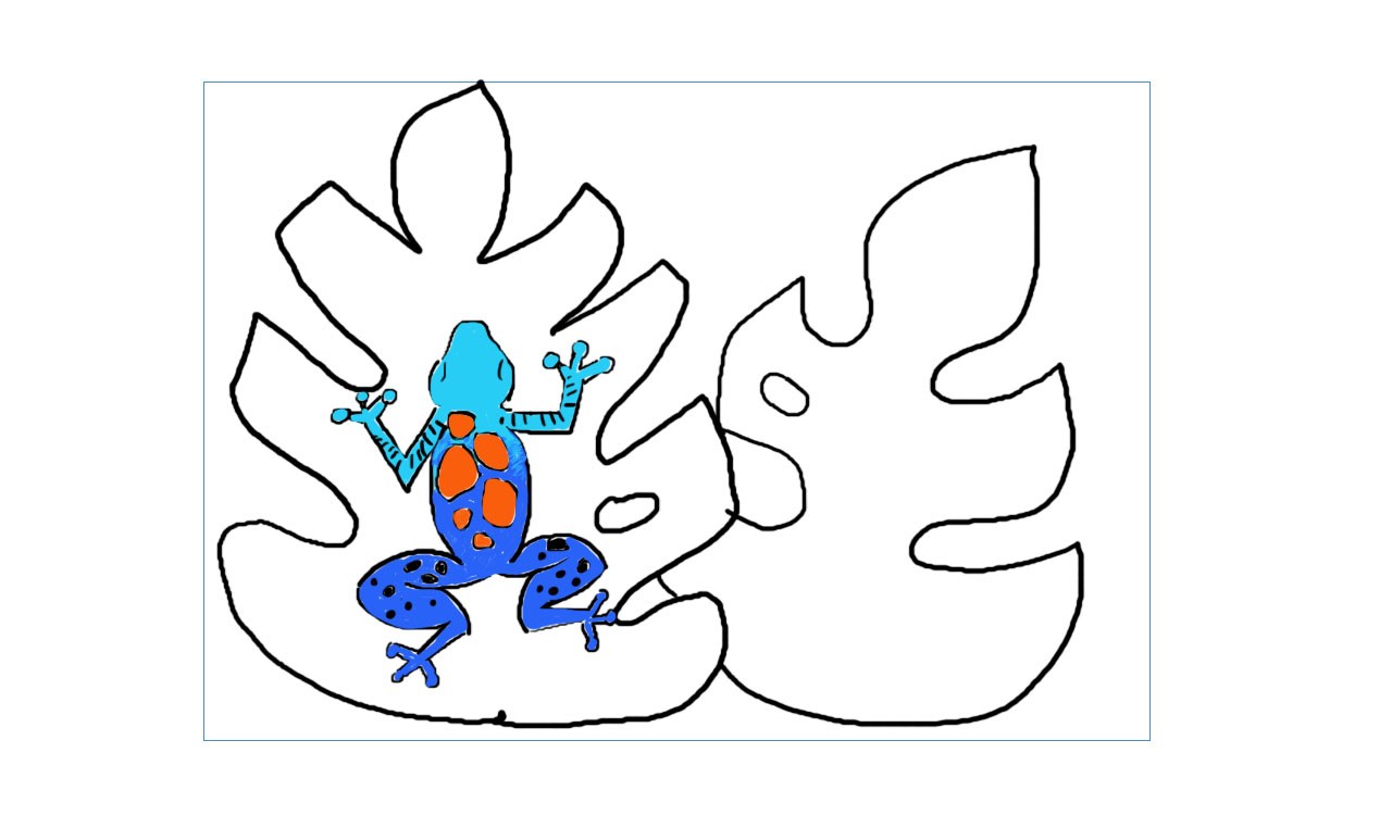 1280x762 Cycle Week Rainforest Drawings