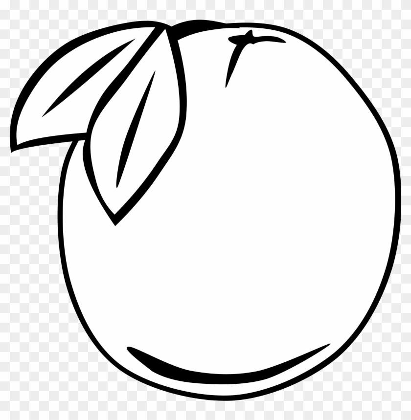 840x859 Medium Image