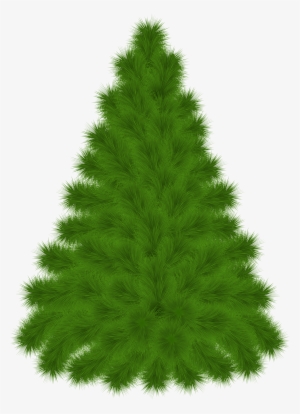 300x414 cypress tree png images png cliparts free download on seekpng