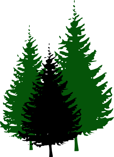438x599 cypress tree silhouette pictures and cliparts, download free