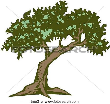 450x426 cypress trees clipart