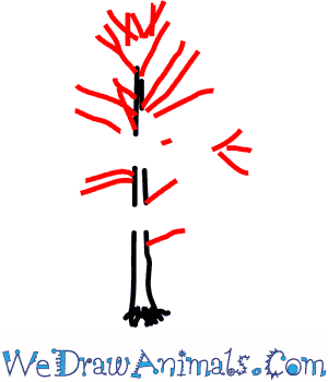 300x350 how to draw a cypress tree