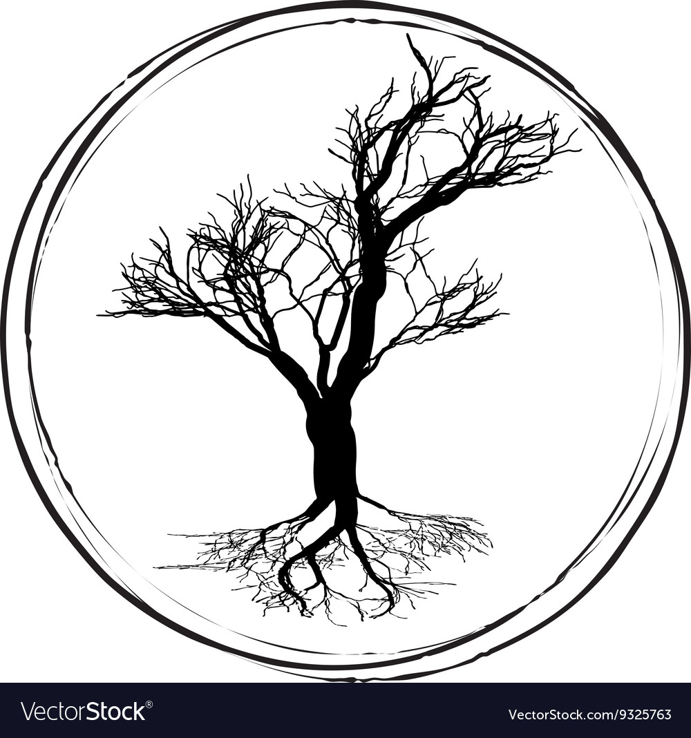 1000x1068 huge collection of 'deciduous tree drawing' download more than