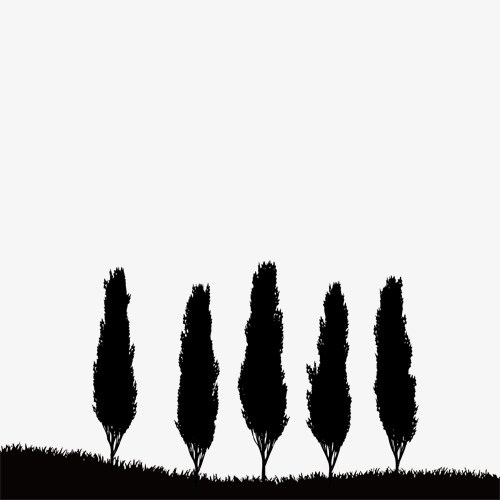 500x500 cypress trees in landscape drawings pictures and ideas on pro