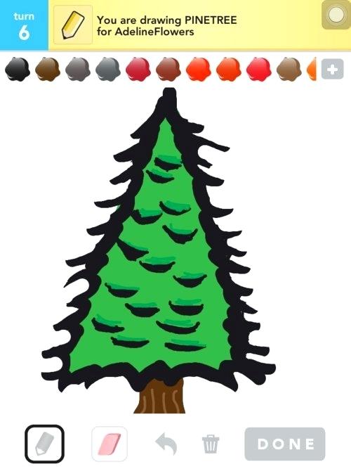 500x667 pine tree drawings pine pine tree drawings easy