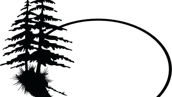 570x320 Simple Pine Tree Drawing How To Draw A Tree Tutorial Architecture