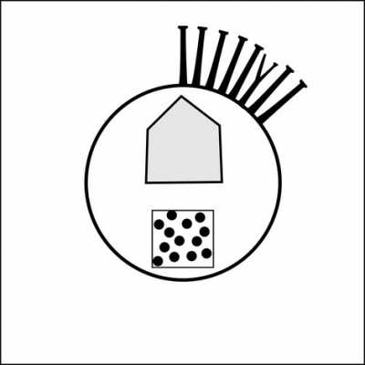 400x400 transparant cyst with solid processes