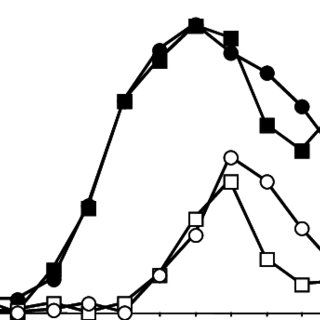 320x320 cytokinesis is delayed in cells wild type